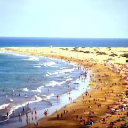 La Palmera 311